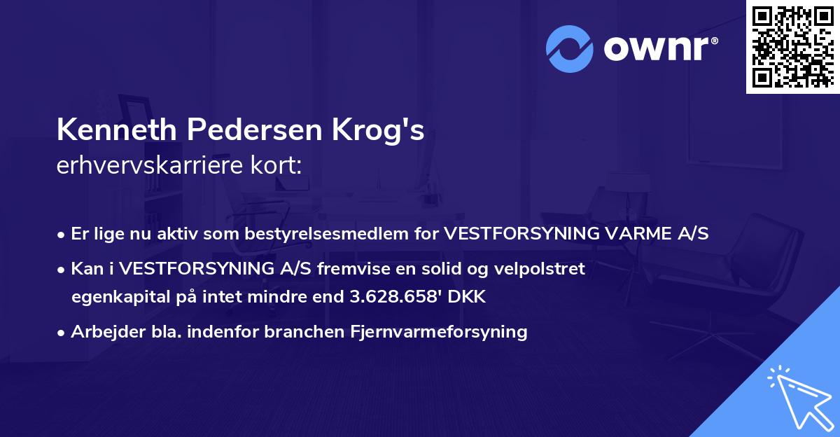 Kenneth Pedersen Krog's erhvervskarriere kort