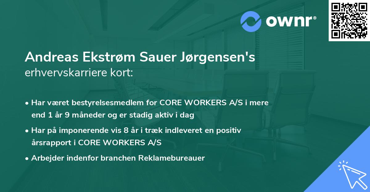 Andreas Ekstrøm Sauer Jørgensen's erhvervskarriere kort