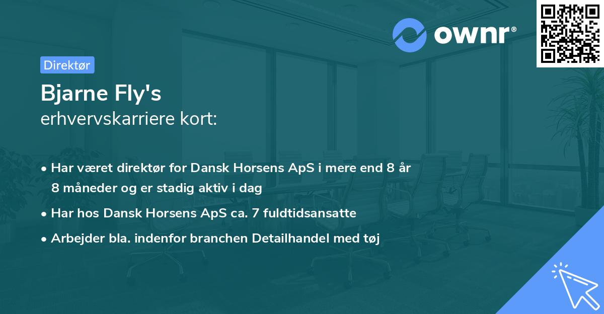 Bjarne Fly's erhvervskarriere kort