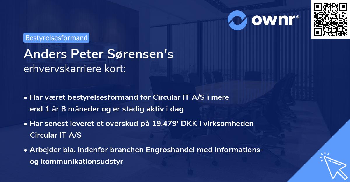 Anders Peter Sørensen's erhvervskarriere kort