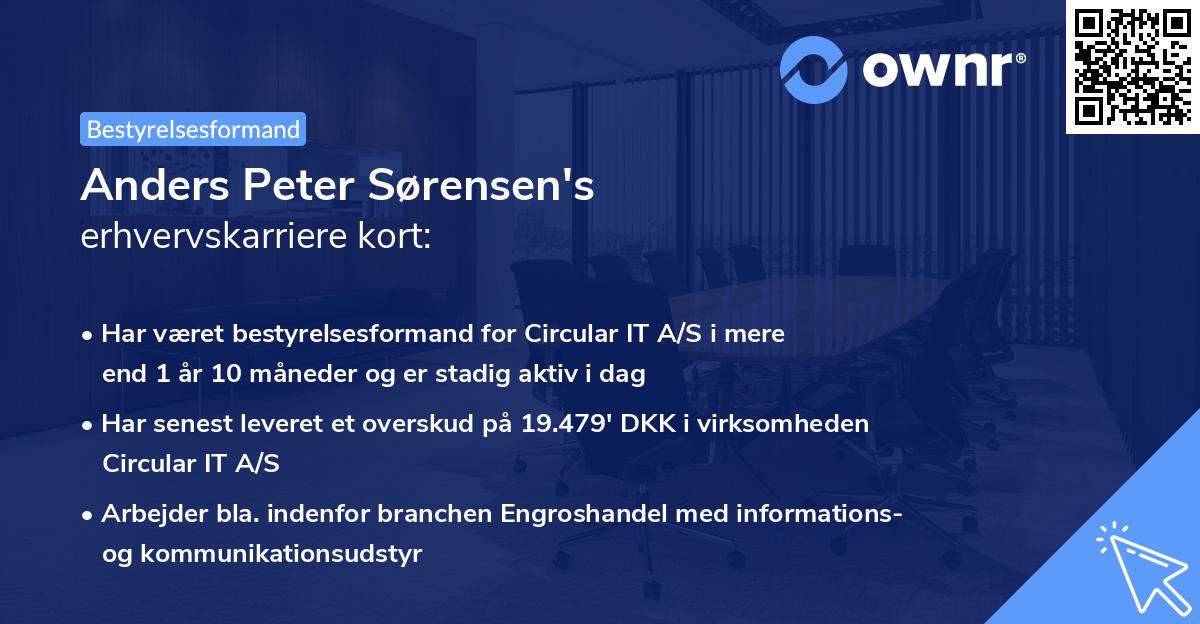 Anders Peter Sørensen's erhvervskarriere kort