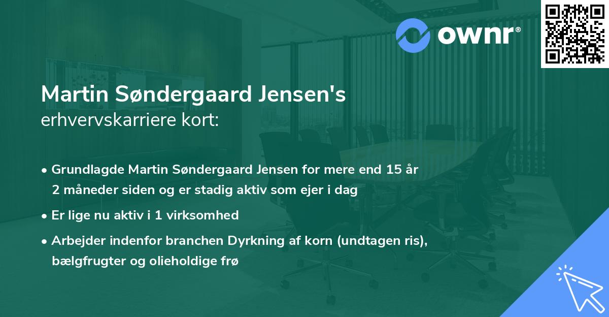 Martin Søndergaard Jensen's erhvervskarriere kort