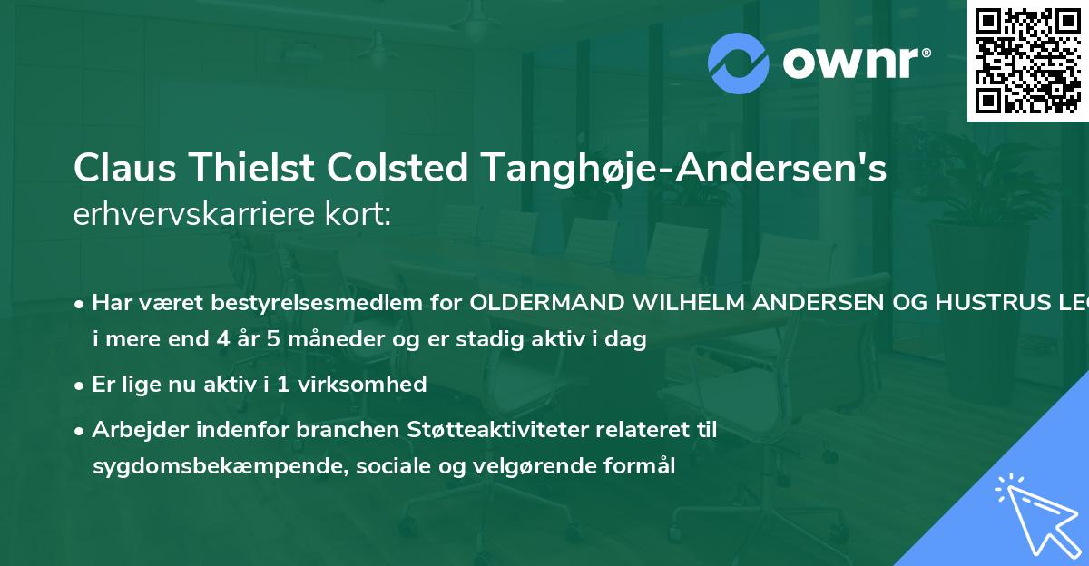 Claus Thielst Colsted Tanghøje-Andersen's erhvervskarriere kort
