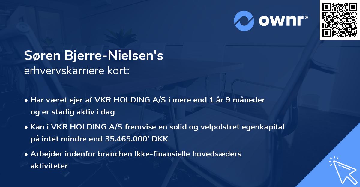 Søren Bjerre-Nielsen's erhvervskarriere kort