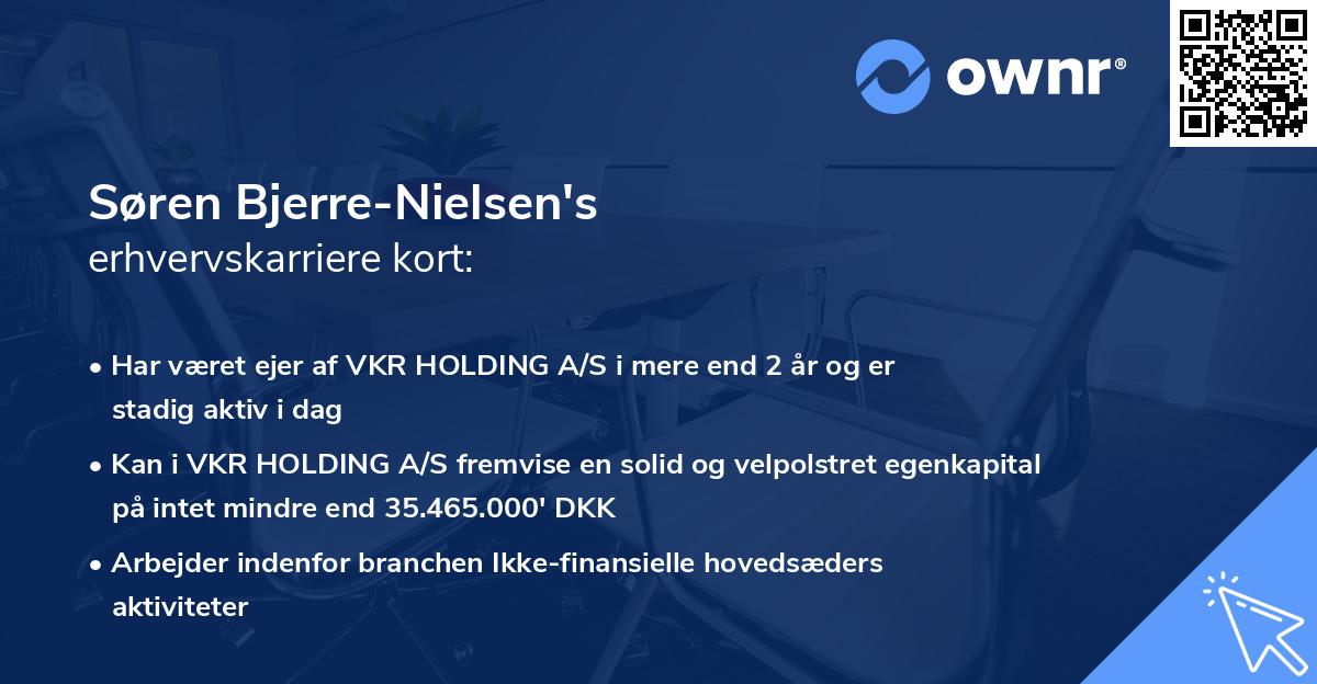 Søren Bjerre-Nielsen's erhvervskarriere kort