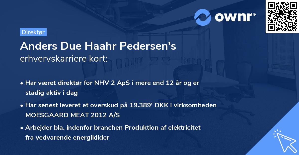 Anders Due Haahr Pedersen's erhvervskarriere kort
