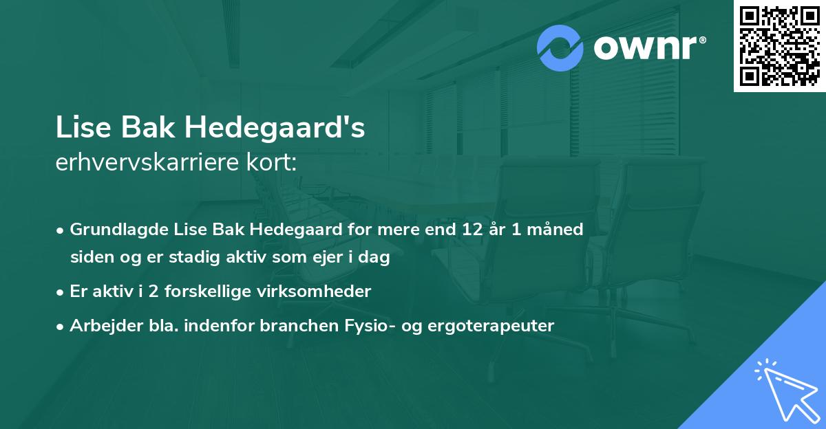 Lise Bak Hedegaard's erhvervskarriere kort