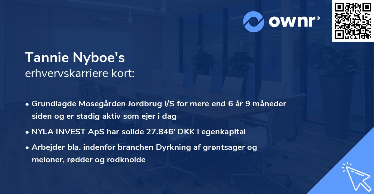 Tannie Nyboe's erhvervskarriere kort