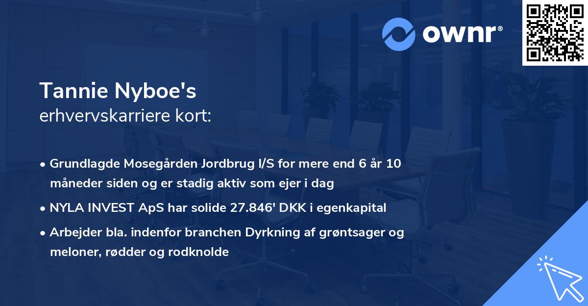 Tannie Nyboe's erhvervskarriere kort