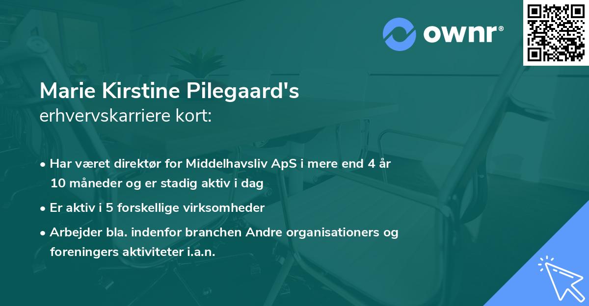 Marie Kirstine Pilegaard's erhvervskarriere kort