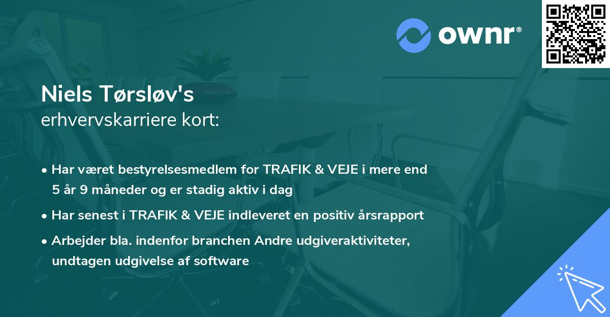 Niels Tørsløv's erhvervskarriere kort