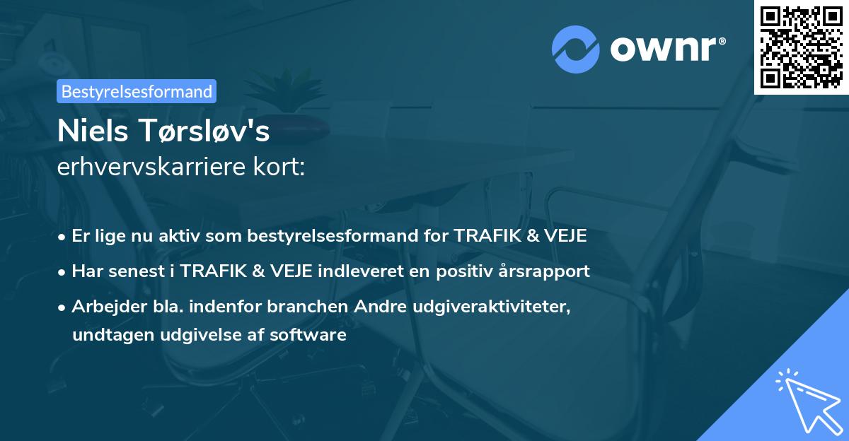 Niels Tørsløv's erhvervskarriere kort
