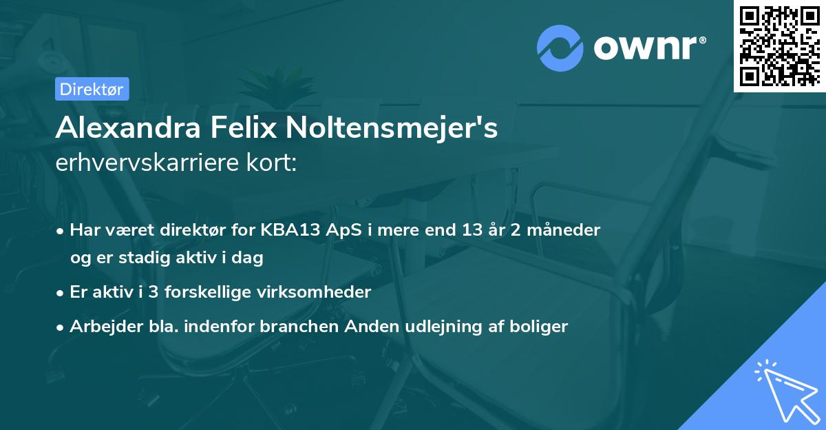 Alexandra Felix Noltensmejer's erhvervskarriere kort