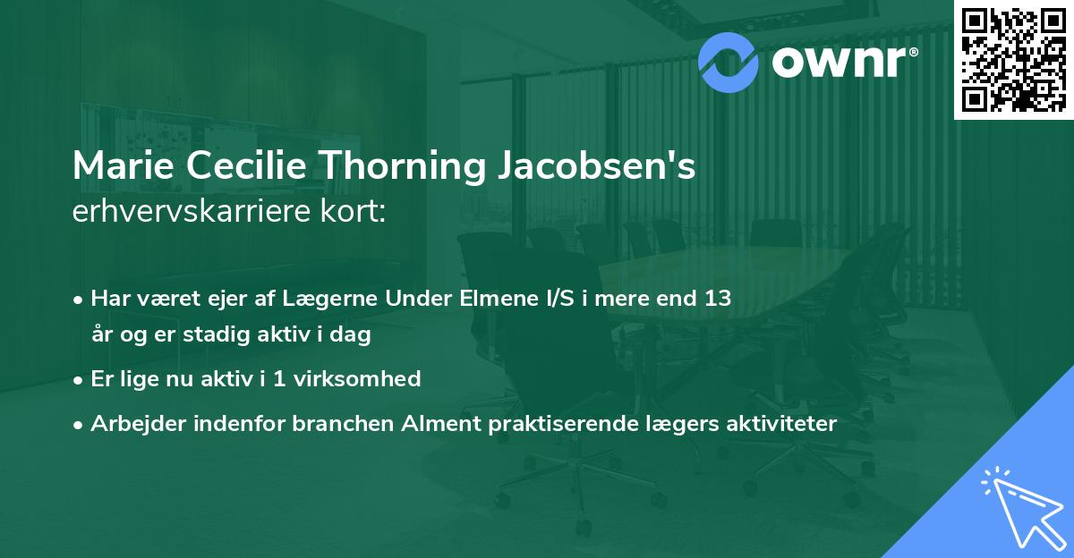 Marie Cecilie Thorning Jacobsen's erhvervskarriere kort