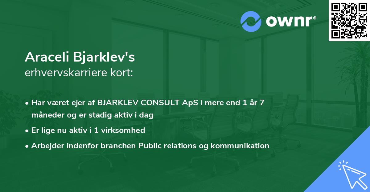 Araceli Bjarklev's erhvervskarriere kort