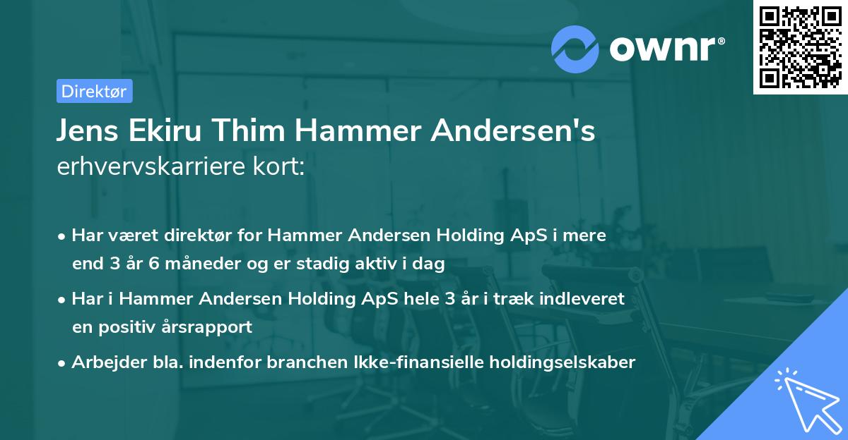 Jens Ekiru Thim Hammer Andersen's erhvervskarriere kort