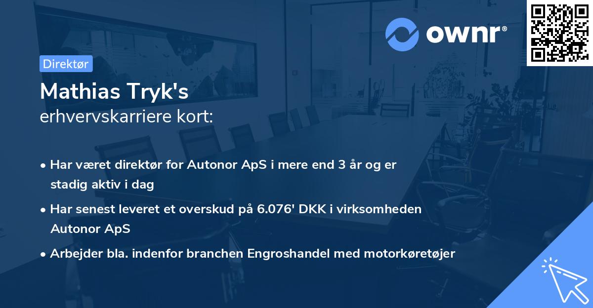 Mathias Tryk's erhvervskarriere kort