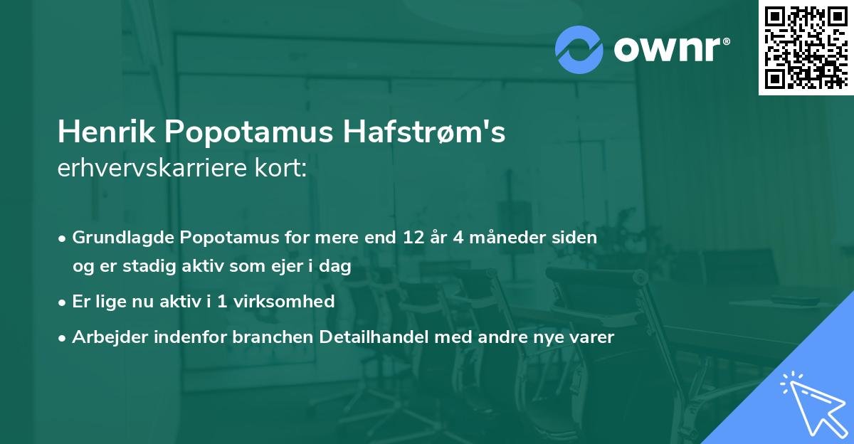 Henrik Popotamus Hafstrøm's erhvervskarriere kort
