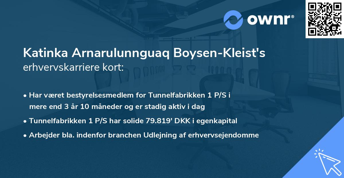 Katinka Arnarulunnguaq Boysen-Kleist's erhvervskarriere kort