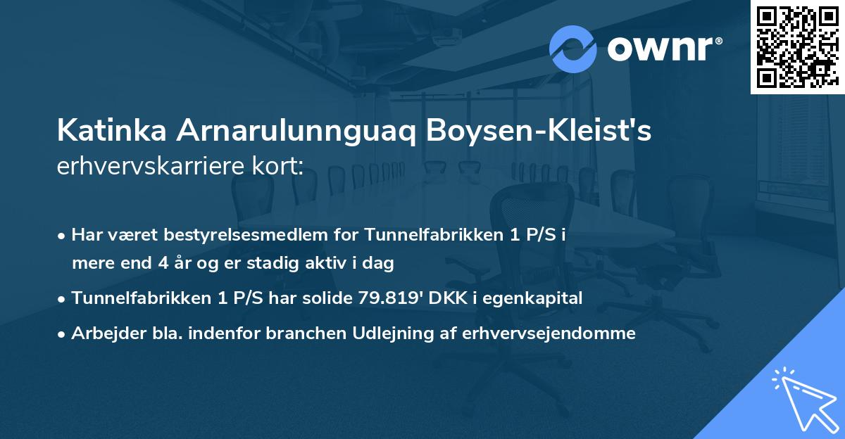 Katinka Arnarulunnguaq Boysen-Kleist's erhvervskarriere kort