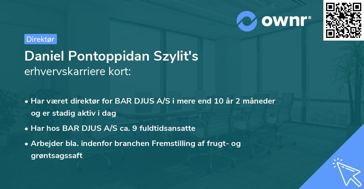 Daniel Pontoppidan Szylit's erhvervskarriere kort