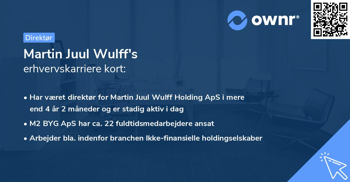 Martin Juul Wulff's erhvervskarriere kort
