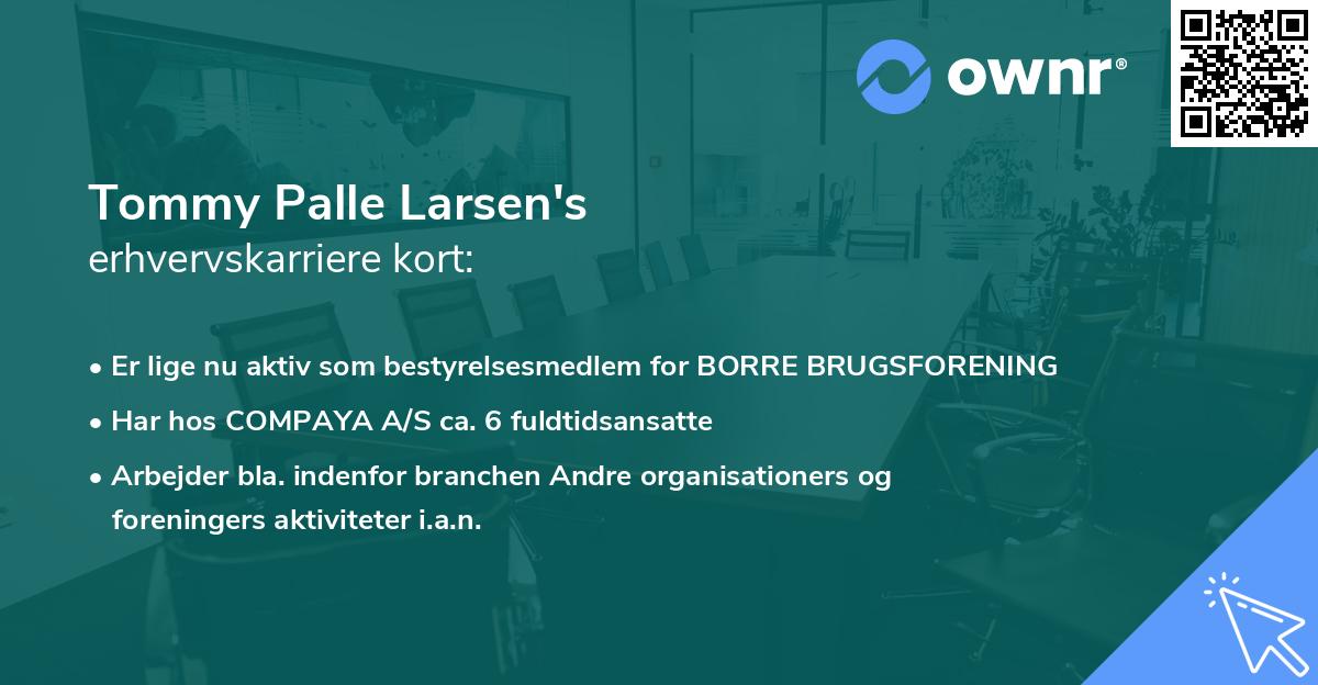 Tommy Palle Larsen's erhvervskarriere kort