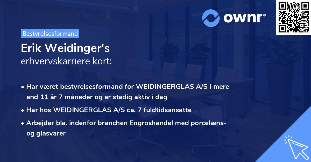 Erik Weidinger's erhvervskarriere kort