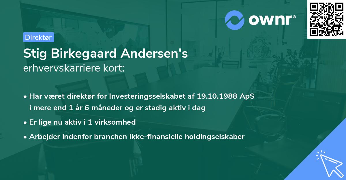 Stig Birkegaard Andersen's erhvervskarriere kort