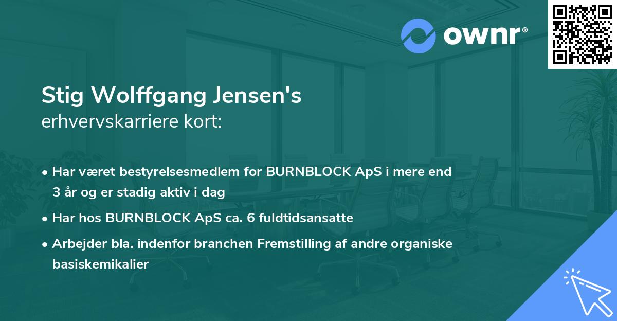 Stig Wolffgang Jensen's erhvervskarriere kort