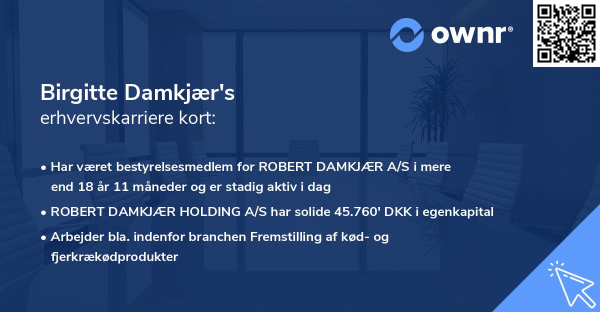 Birgitte Damkjær's erhvervskarriere kort