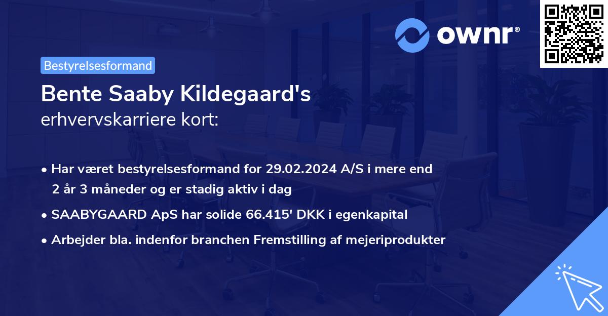 Bente Saaby Kildegaard's erhvervskarriere kort