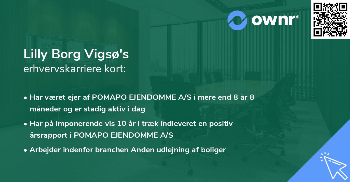 Lilly Borg Vigsø's erhvervskarriere kort