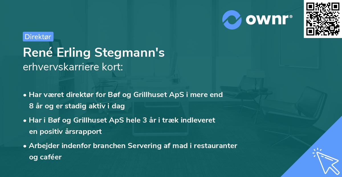 René Erling Stegmann's erhvervskarriere kort