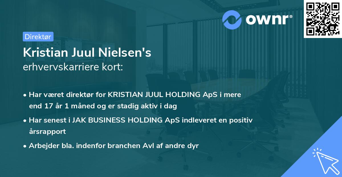 Kristian Juul Nielsen's erhvervskarriere kort