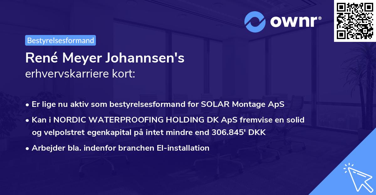 René Meyer Johannsen's erhvervskarriere kort