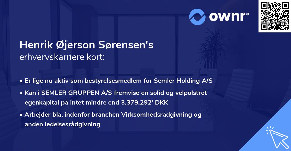 Henrik Øjerson Sørensen's erhvervskarriere kort
