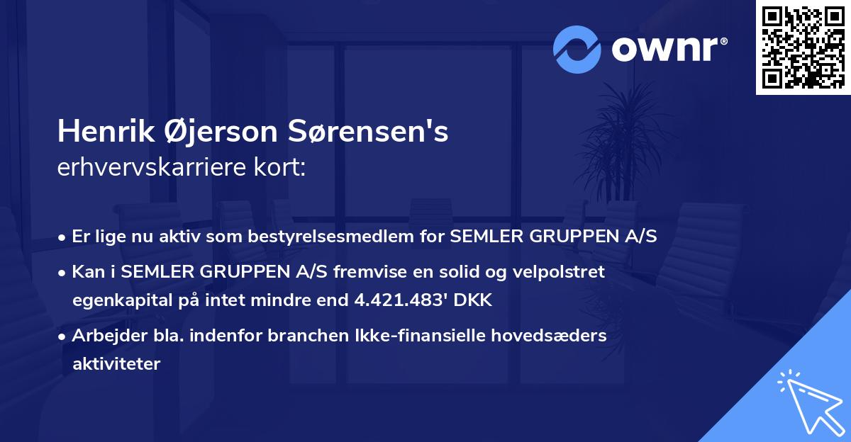 Henrik Øjerson Sørensen's erhvervskarriere kort