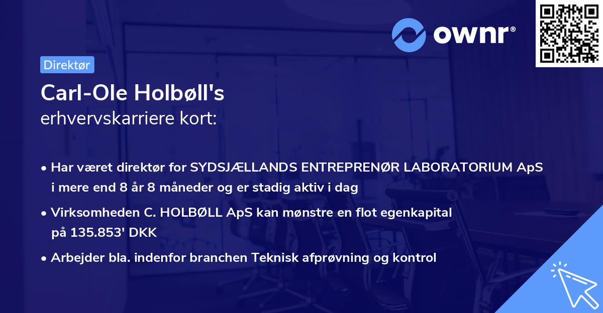 Carl-Ole Holbøll's erhvervskarriere kort