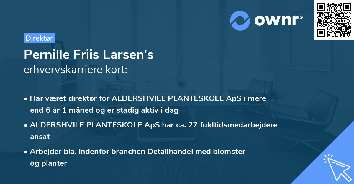 Pernille Friis Larsen's erhvervskarriere kort