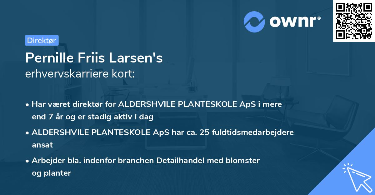 Pernille Friis Larsen's erhvervskarriere kort