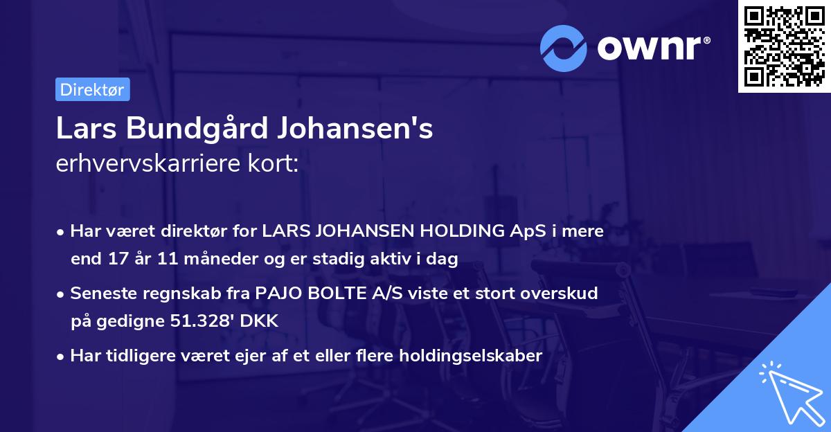 Lars Bundgård Johansen's erhvervskarriere kort