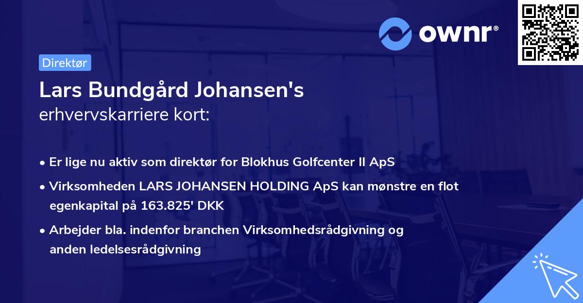 Lars Bundgård Johansen's erhvervskarriere kort