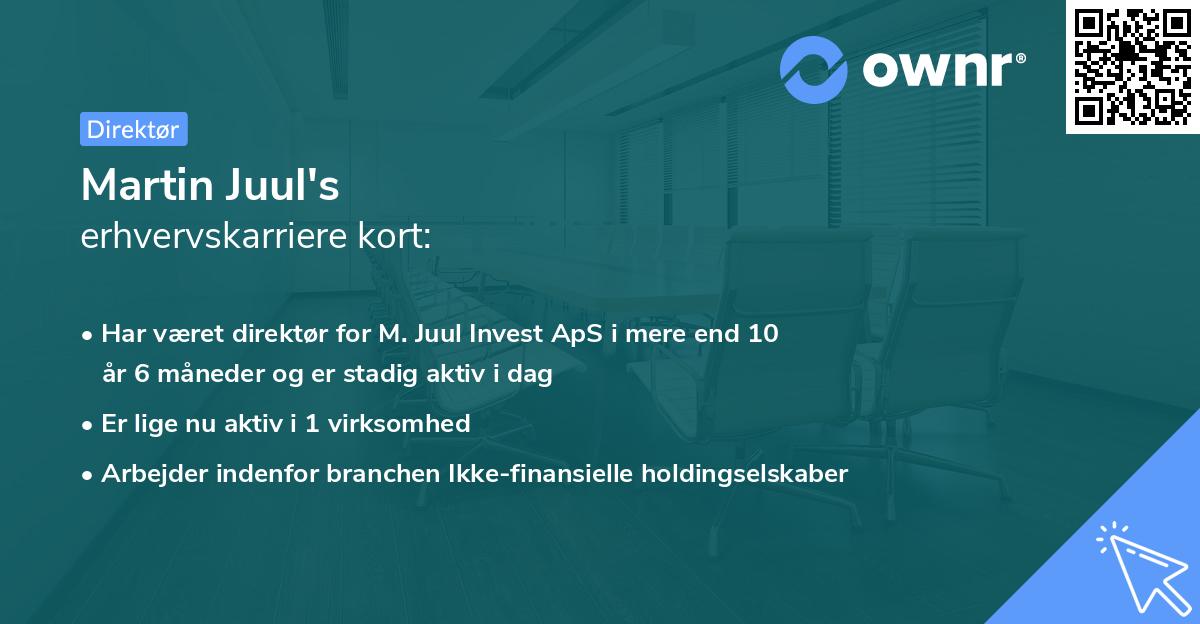 Martin Juul's erhvervskarriere kort