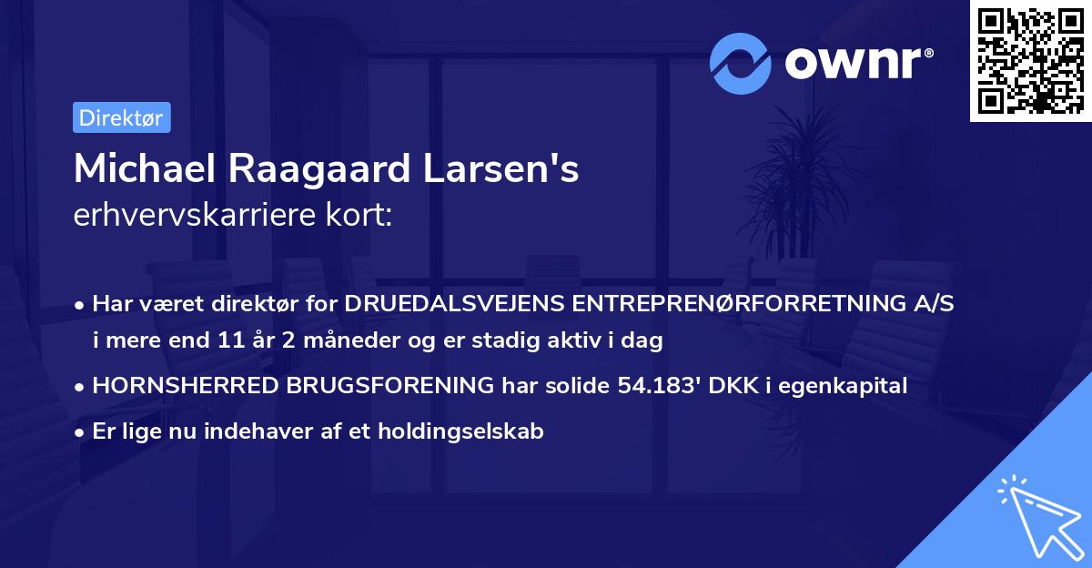 Michael Raagaard Larsen's erhvervskarriere kort