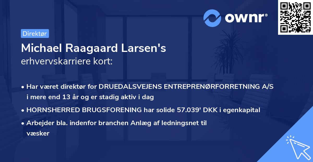 Michael Raagaard Larsen's erhvervskarriere kort
