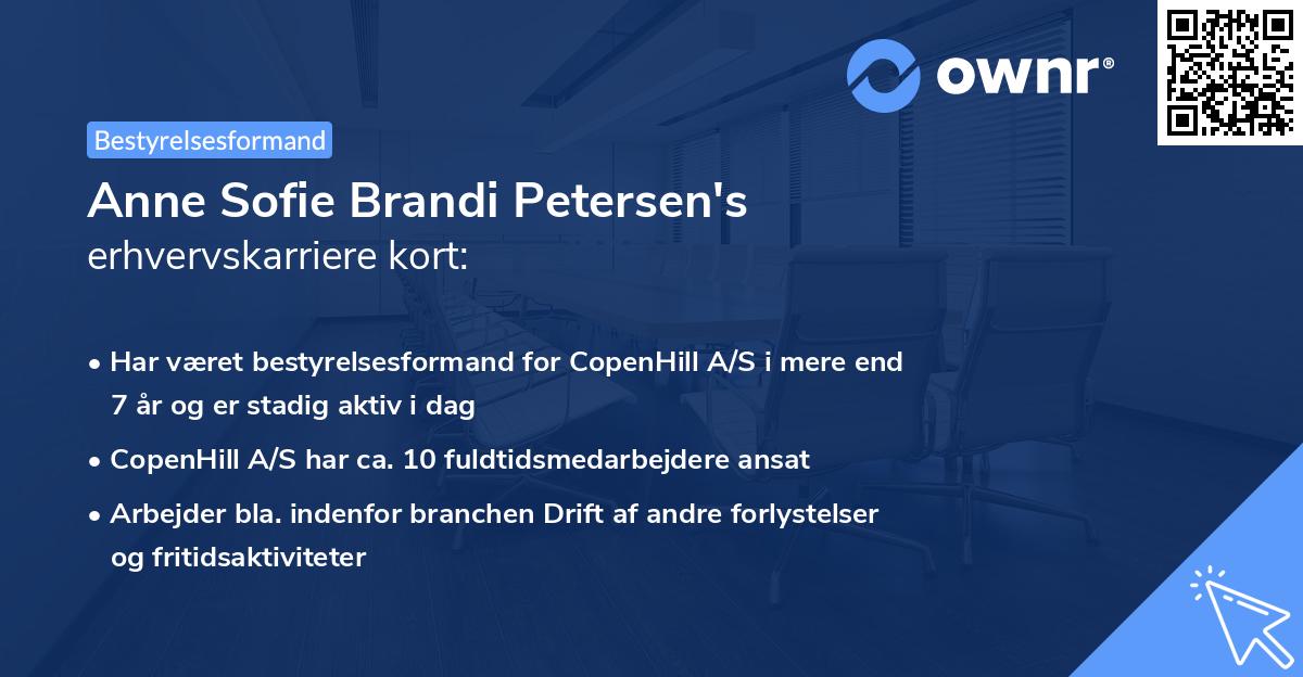 Anne Sofie Brandi Petersen's erhvervskarriere kort