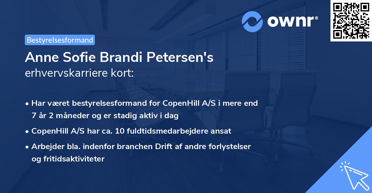 Anne Sofie Brandi Petersen's erhvervskarriere kort