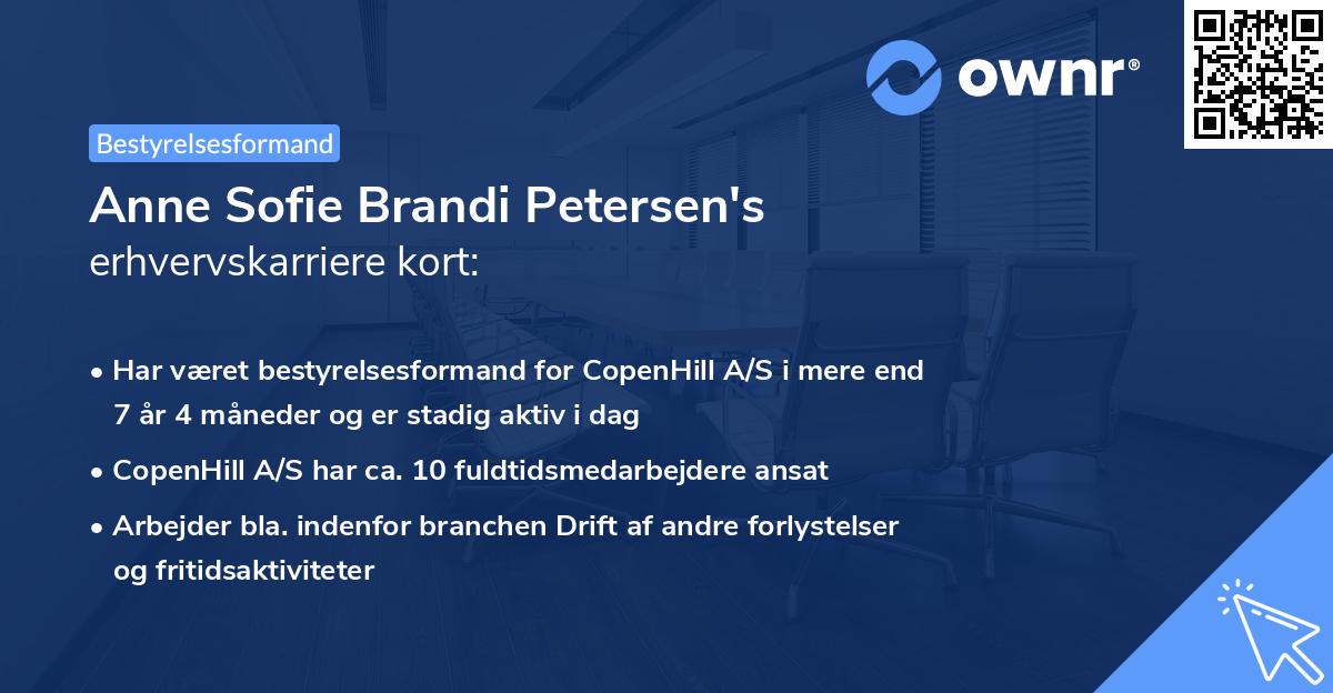 Anne Sofie Brandi Petersen's erhvervskarriere kort