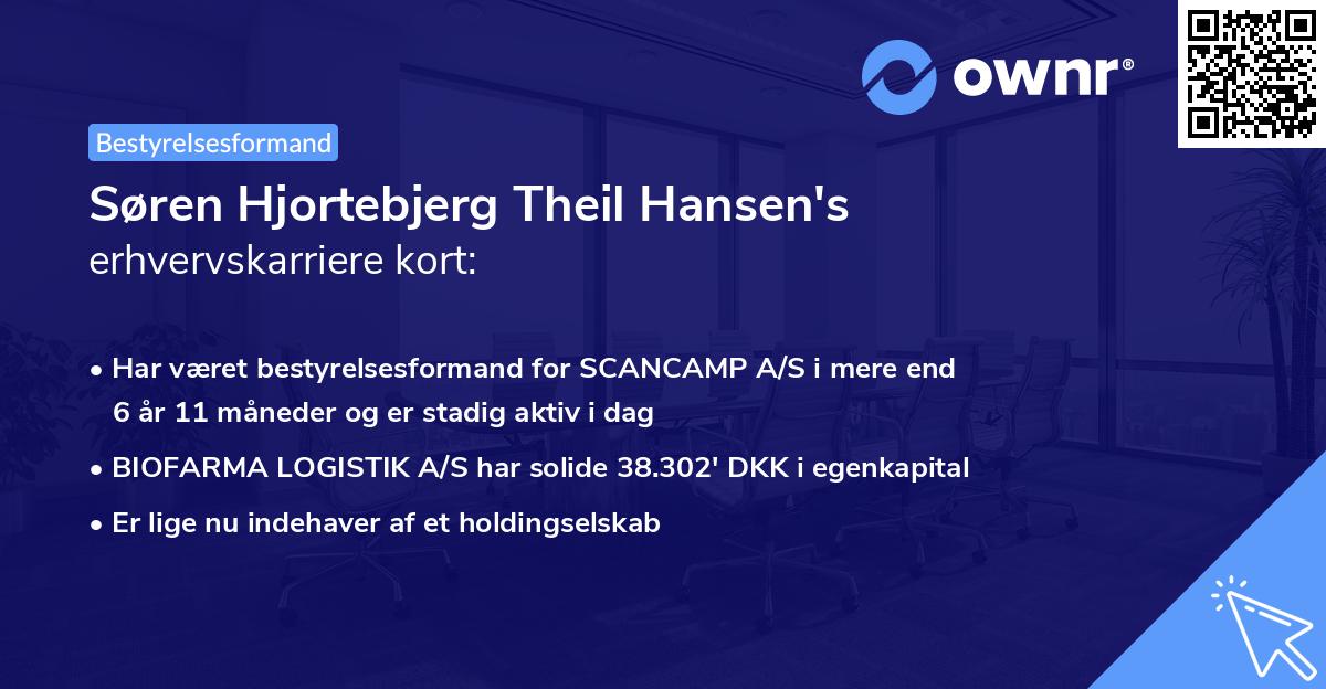Søren Hjortebjerg Theil Hansen's erhvervskarriere kort